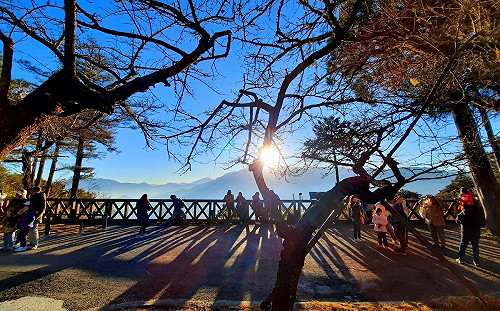 追阿里山第一道曙光！祝山觀日列車12/15開放網路訂票