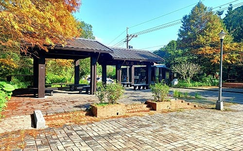 搶拍秋冬獨有美景！南港「這處」落羽松秘境悄轉紅