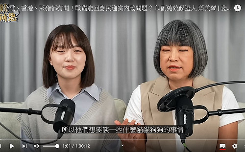 稱賴清德只想講貓貓狗狗？范琪斐道歉：我個人言論、對方沒這樣說 