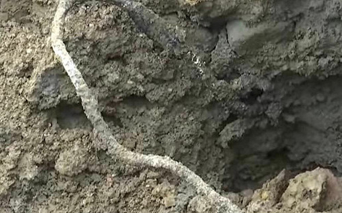 柯媽媽停車場有「大秘寶」？柯文哲農地開挖驚見鋼筋、磚塊建築廢棄物