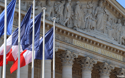 蔡筱穎觀點》世界第一的驕傲？墮胎入憲 72議員反對法國總統貶低憲法