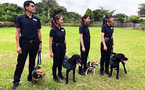 夢幻工作！跟檢疫犬一起上班「起薪37K」應徵條件曝光