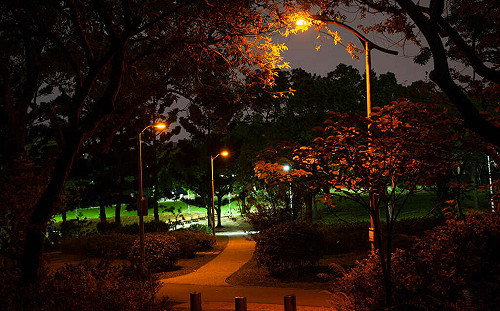 環境部「光污染管理指引」上路！增訂路燈色溫上限、廣告看版深夜禁止閃爍