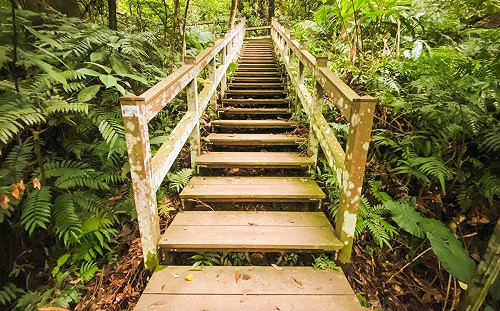 走春新去處！北市「富陽自然生態公園」邂逅生態奇景
