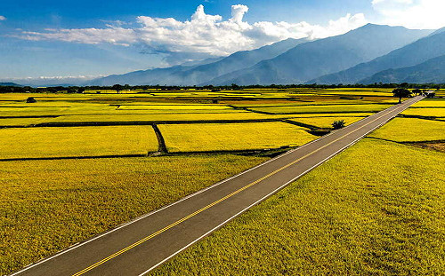 台東旅遊注意！伯朗大道空品維護區7/1上路 車輛不符規定罰6萬