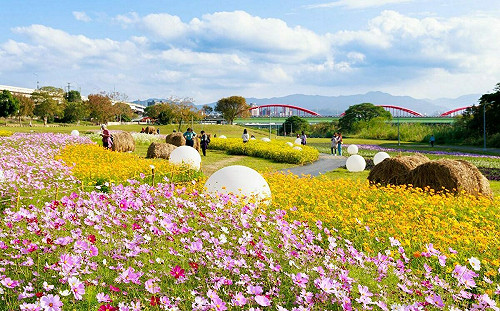 田園風限定美景！古亭河濱花海＋特色裝置藝術   日夜都好拍