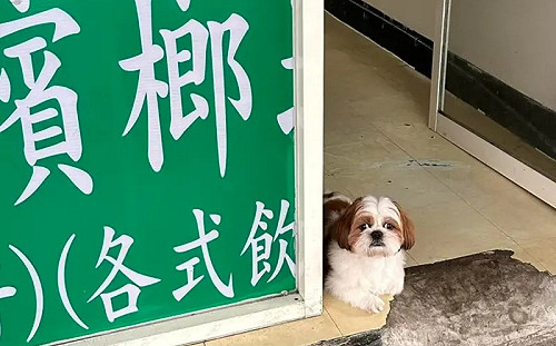 檳榔西施「沒穿衣服好辣」！牠顧攤照網朝聖