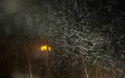 (影)入冬最強寒流來襲! 宜蘭太平山深夜降到0度冰霰紛飛降雪機率高