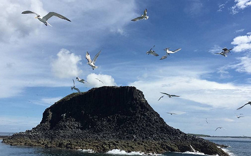 澎湖四季旅遊超精彩！乞龜專車2/23開跑 元宵祈福體驗傳統文化