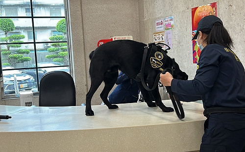 美無償捐贈！台灣第一隻電子產品偵測犬「WAFER」首次公開亮相