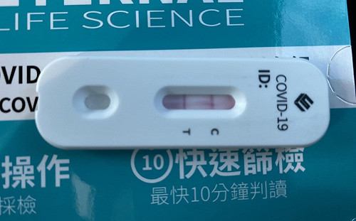 謝票途中快篩二度確診 蕭美琴取消近日行程