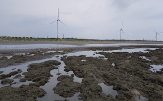 環團控「三接」工程破壞生態！中油：當地珊瑚無縮小趨勢