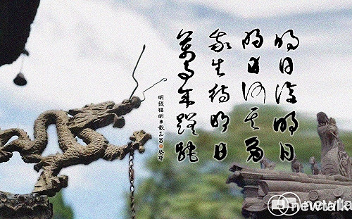 朱玉昌古典新詮》無花空折枝 警世詩詞的光陰智慧