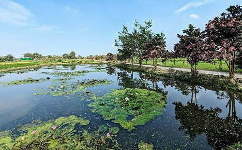 自然生態寶藏再＋1！屏東萬年濕地群獲評「重要濕地」