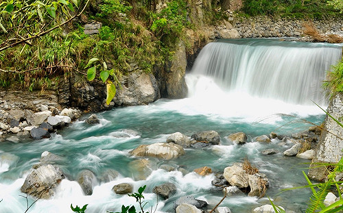 跟著塔羅牌走進森林！4大特色遊程完全放鬆身心靈