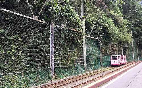 別撲空！烏來台車3月修繕   暫停營運1個月