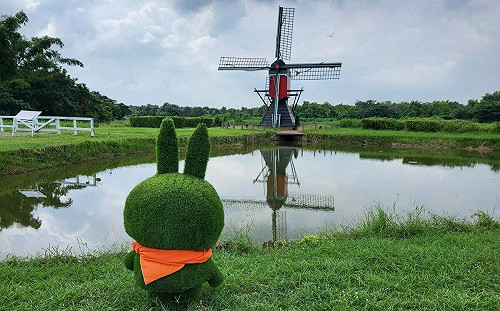 台南雙埤走春去！玩彈珠、划龍舟、逛市集   體驗春節復古味