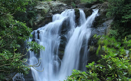 吸收芬多精賞無敵海景！屏東2森林遊樂區上山下海都好玩