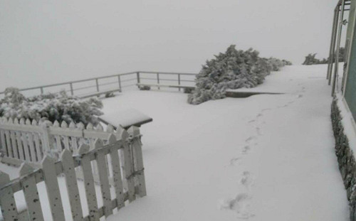 冷氣團發威！玉山下雪了「積雪5公分」美照曝光