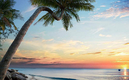 年代旅遊富國島「丟包案」非前例！旅印作家指控：侵佔80多萬元旅費 惡意違約！