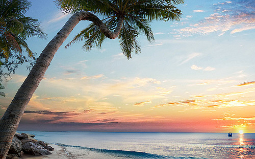 年代旅遊擺爛不賠！觀光署開罰81萬 3/4後恐直接撤照 