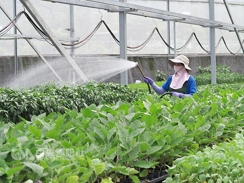農產食安4標章 109年底整合成2大標章