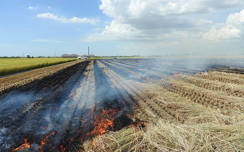 露天燃草空污嚴重   違法偷燒罰5千元至10萬元