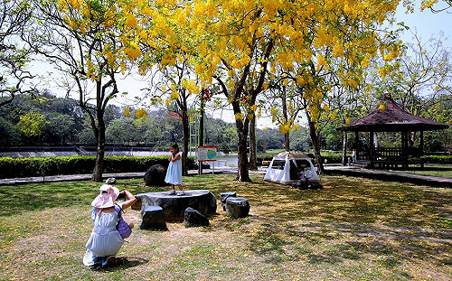 逛台灣燈會拿好康！憑活動現場合照 享虎頭埤門票買大送小