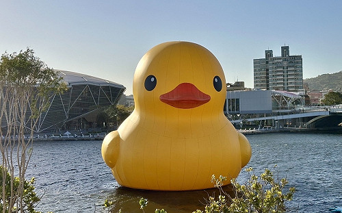 黃色小鴨萌樣回歸 把握最後展期留下美好回憶 