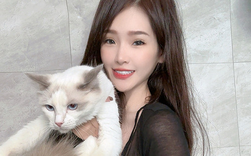 貓系直播主在這裡！直播間宣導養貓經、把狗派變貓派