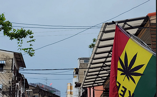 泰國大麻政策急轉彎！年底前恐禁娛樂用