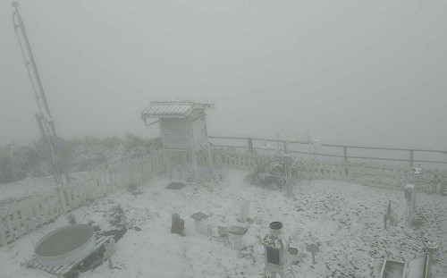 玉山下雪！積雪2公分 霧濛濛美照曝光