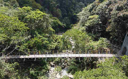 登山族嗨翻！嘉義超美獨立山步道1號吊橋全線開放