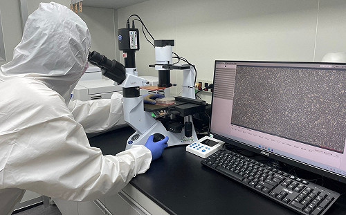 精準醫療超夯產值破千億美元  馬偕醫檢暨再生系招生因應需求