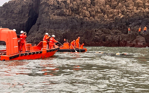 陸籍漁船「閩龍漁61222」翻覆2死 海基會：尚未收到中方請求協助