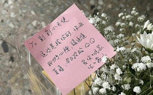 剴剴花葬陽明山 4歲姊姊問弟弟為什麼「住土裡」引人熱淚...