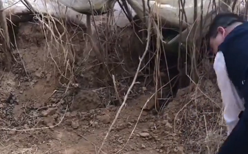 (影) 惡魔行徑！3邯鄲中學生勒索同學後殺害埋坑 死者父指背後疑點重重…