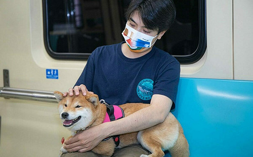 帶毛小孩搭捷運出去玩！北捷紅線「寵物列車」3/31限時登場