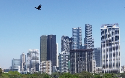 中國被超車了! 首次擠下北京 它成擁有最多億萬富豪的亞洲城市 全球第一是....
