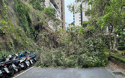 風強雨急！北市2.5小時25件災情 蔣萬安緊急回應