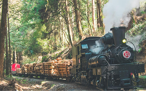 地震太頻繁！阿里山林鐵道樹倒  562旅客受影響 