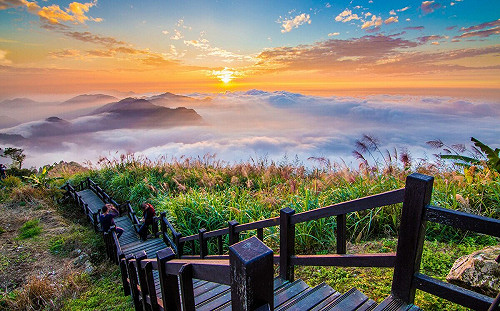 白天踏青晚上賞螢！嘉義6親子共遊步道一次看