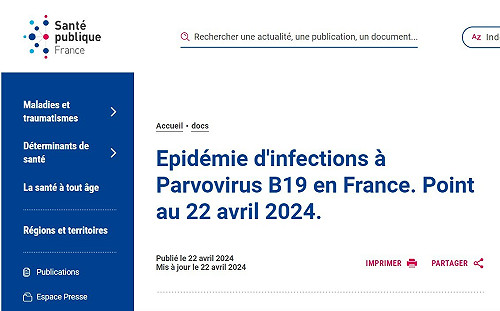 蔡筱穎觀點》法國「B19微小病毒」疫情大流行！死亡人數持續增加
