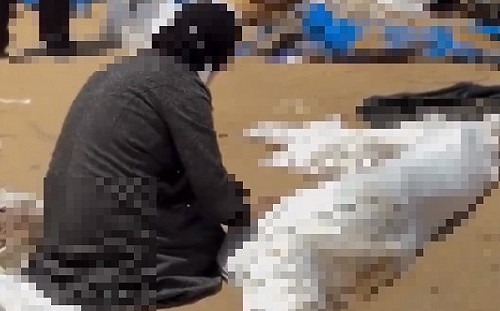 安理會要求徹查加薩亂葬崗 究責違反國際法行徑