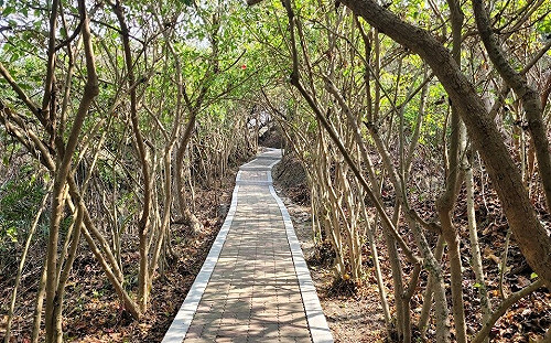 徐巧芯批交通部用微博賺「紅錢」！觀光署回應了