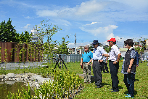 舊泳池大變身！成為書香園地綠化景觀
