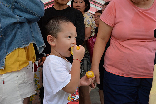 虎尾古蹟＋特產出擊 玉米節免費吃到飽