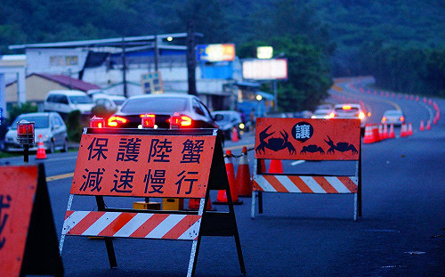 「蟹蟹」你！ 墾丁部分路段為陸蟹封路