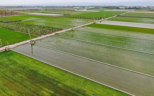 國土計畫劃設後就無法更改？環團釋疑：之後也可能改回來