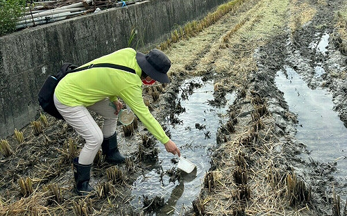 高雄出現全台首2例本土日本腦炎 6旬男病發9天不治